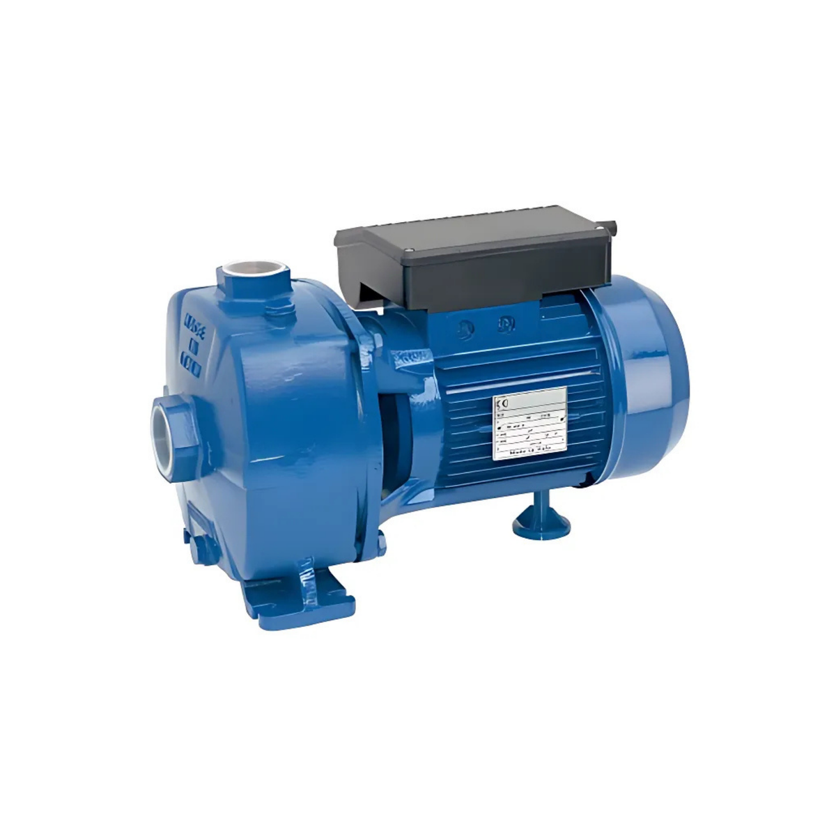 BOMBA CENTRÍFUGA SSBJ 300T 3HP 380V REGGIO
