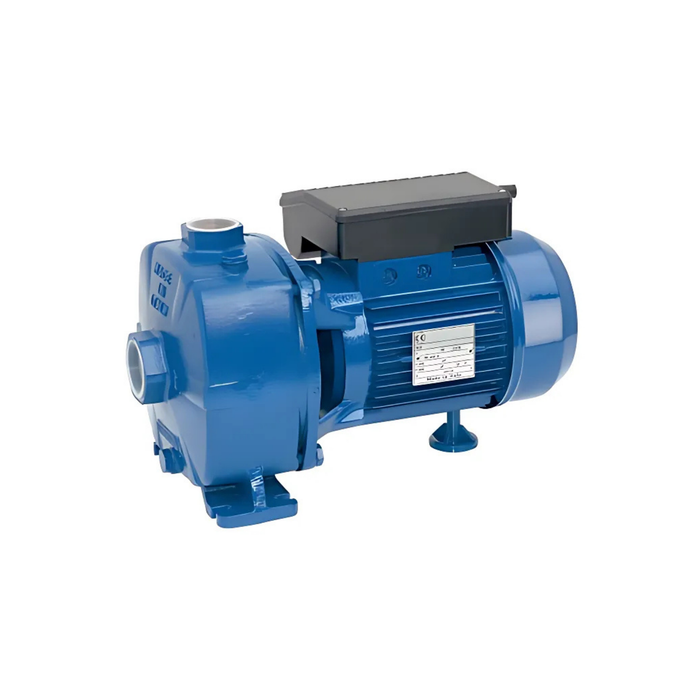 BOMBA CENTRÍFUGA SSBJ 300T 3HP 380V REGGIO