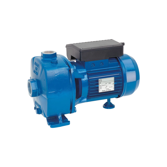 BOMBA CENTRÍFUGA SSBJ 300 3HP 220V REGGIO